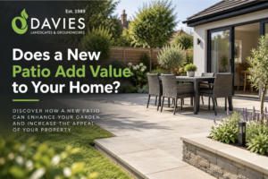 Does a New Patio Add Value to Your Home? - blog thumbnail with logo